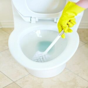 Move in bathroom cleaning