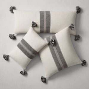 Cushion Cleaning